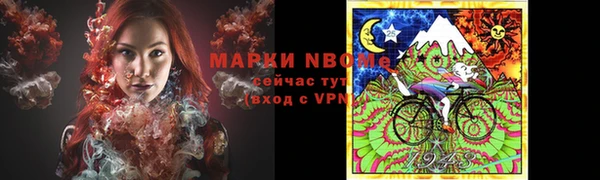 стафф Струнино