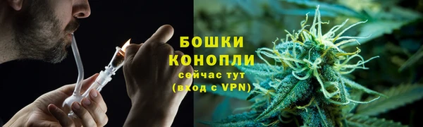 стафф Струнино