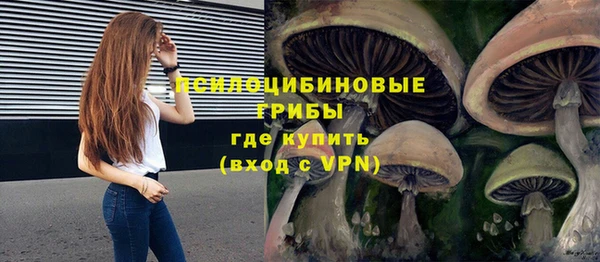 спайс Строитель