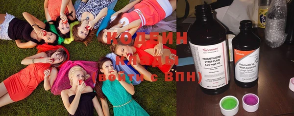 стафф Струнино