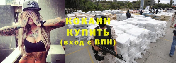 стафф Струнино