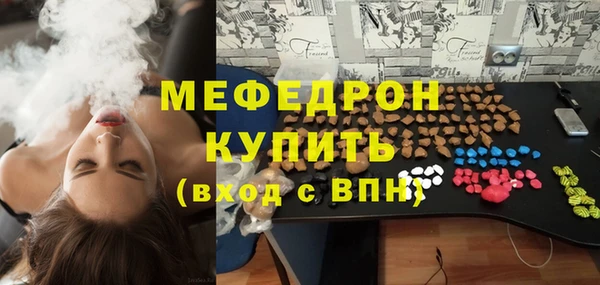 индика Ивангород