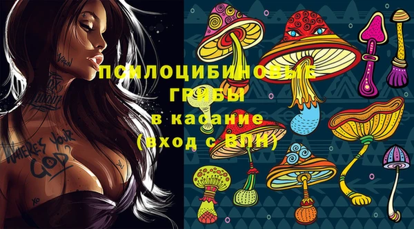 стафф Струнино