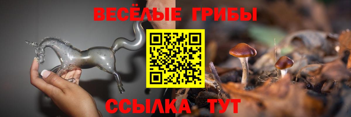 Псилоцибиновые грибы MAGIC MUSHROOMS Богородицк