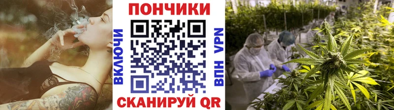где купить наркоту  Богородицк  Шишки марихуана тримм 